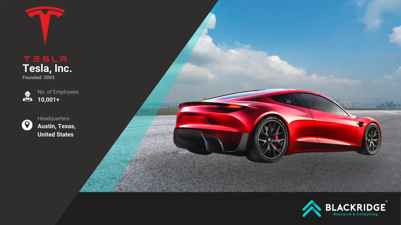 top ev car companies 2025